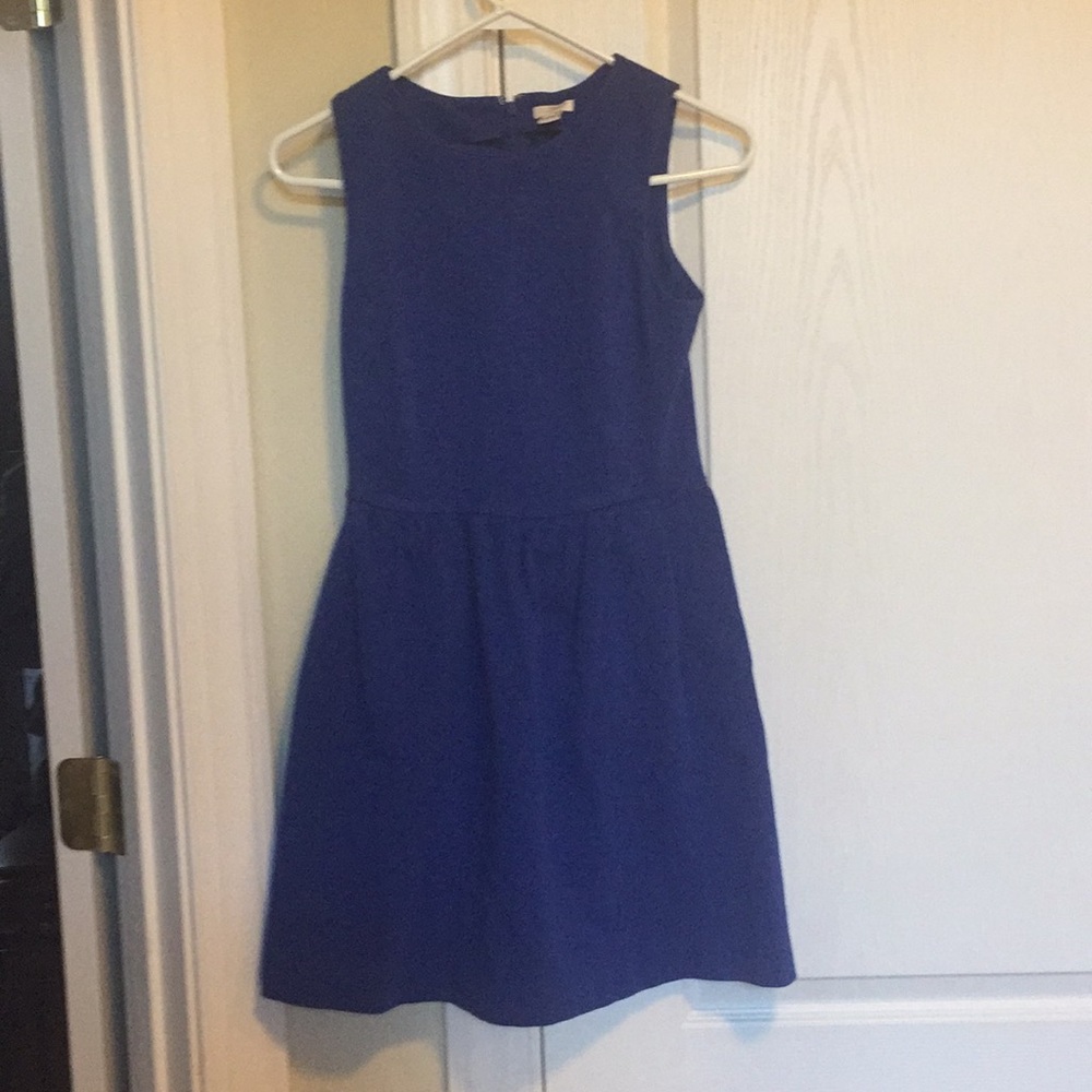 J.Crew blueberry color A-line dress